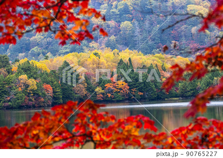【栃木県・奥日光】湯の湖に映える紅葉の季節 10月 【栃木県・奥日光】湯の湖に映える紅葉の季節 10月 90765227