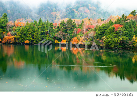 【栃木県・奥日光】湯の湖に映える紅葉の季節 10月 【栃木県・奥日光】湯の湖に映える紅葉の季節 10月 90765235