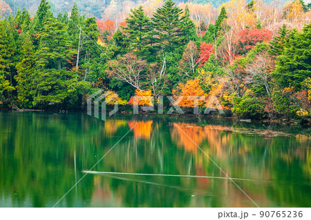 【栃木県・奥日光】湯の湖に映える紅葉の季節 10月 90765236