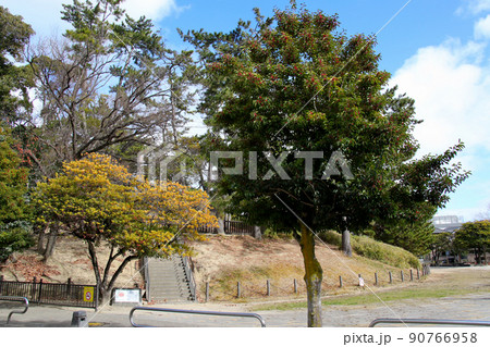 豊中市大塚公園　桜塚古墳群 90766958