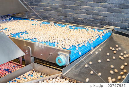 conveyor belt for cleaning and sorting nuts in a factory 90767985