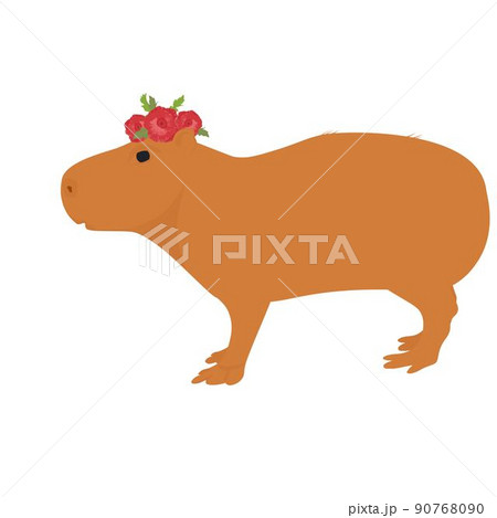 Capybara vector stock illustration. Cute rodent. A mammalian animal with a wreath of flowers on its head. Isolated on a white background. 90768090