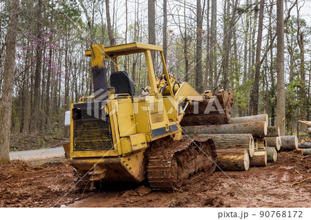 Freshly cut trees for residential construction in backhoe clearing forest on land clearing Freshly cut trees for residential construction in backhoe clearing forest on land clearing 90768172