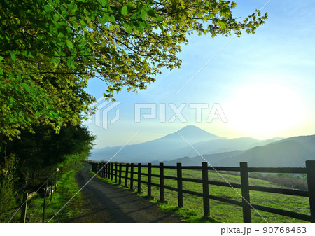 足柄上郡 大野山の山頂付近の遊歩道から見える富士山 90768463