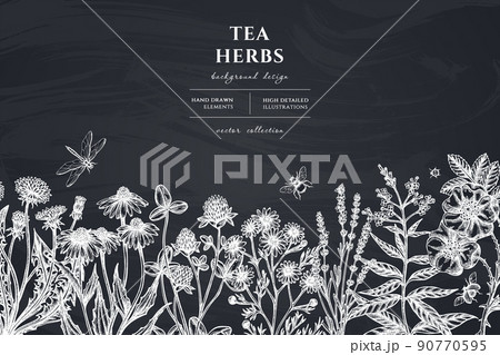 Tea herbs hand drawn illustration design. Background with chalk chamomile, cinnamon rose, etc. Tea herbs hand drawn illustration design. Background with chalk chamomile, cinnamon rose, etc. 90770595