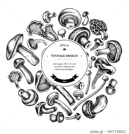 Round design with black and white oyster mushroom, champignon, honey agaric, etc. Round design with black and white oyster mushroom, champignon, honey agaric, etc. 90770602