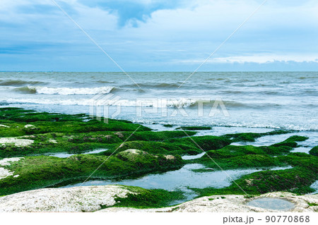 seascape, coast of the Caspian Sea with algae-covered coastal stones 90770868