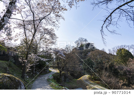 苗木城址公園の朝の景色 90771014