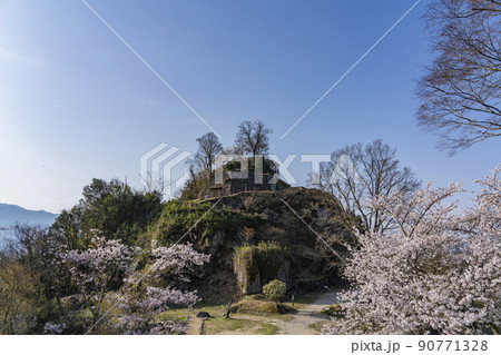 春の苗木城址公園の景色 春の苗木城址公園の景色 90771328