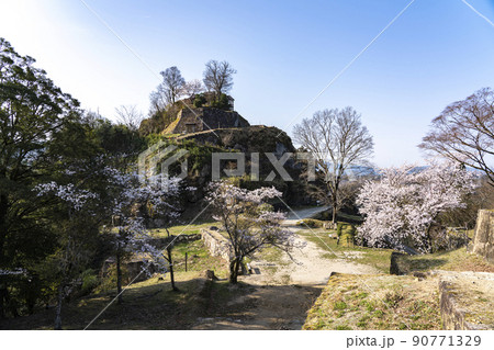 さくら咲く苗木城址公園の風景 さくら咲く苗木城址公園の風景 90771329
