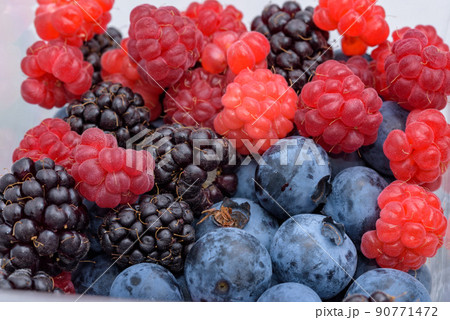 収穫した沢山のベリー(ブルーベリー、ラズベリー、ブラックベリー) 収穫した沢山のベリー(ブルーベリー、ラズベリー、ブラックベリー) 90771472