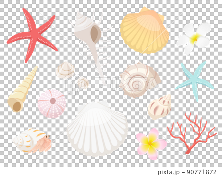 貝殻モチーフセット 90771872