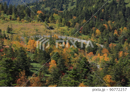 横手山ドライブインからの紅葉の風景 90772257