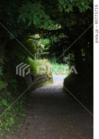 山道 山道 90773719