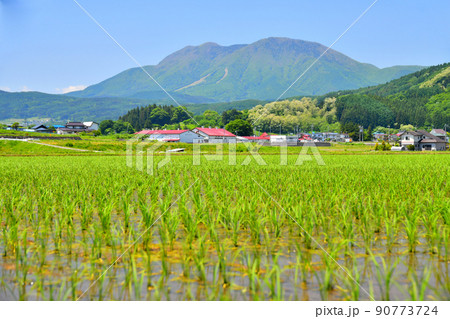 飯綱町三水より霊仙寺山方面を望む(長野県飯綱町)【2022.6】 90773724
