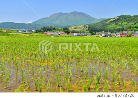 飯綱町三水より霊仙寺山方面を望む(長野県飯綱町)【2022.6】 飯綱町三水より霊仙寺山方面を望む(長野県飯綱町)【2022.6】 90773726