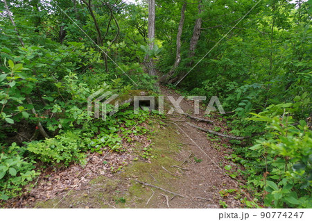 天空につづく遊歩道 天空につづく遊歩道 90774247
