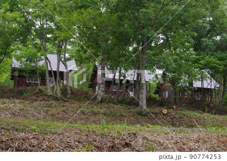 天空につづく遊歩道 90774253
