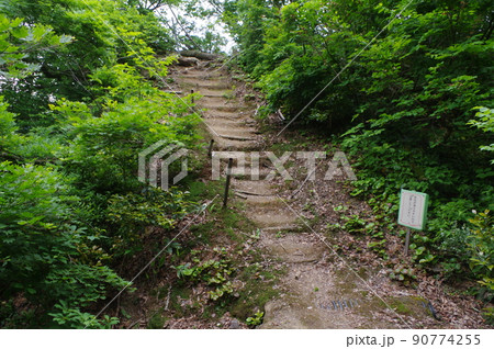 天空につづく遊歩道 天空につづく遊歩道 90774255