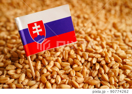 Grains wheat with Slovakia flag, trade export and economy concept. Grains wheat with Slovakia flag, trade export and economy concept. 90774262