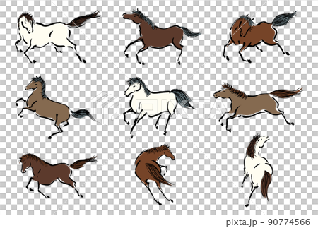 Horse horse material 90774566