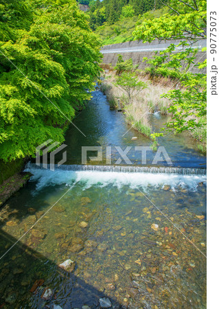 有馬ダム下流　入間川合流地点付近　春　新緑川風景 90775073