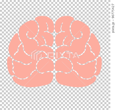 健康な脳 健康な脳 90775427