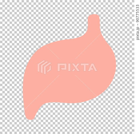 健康腸胃 健康腸胃 90775533