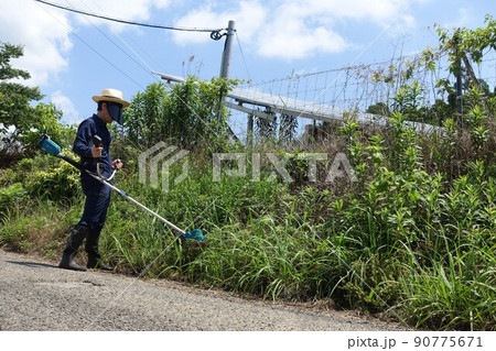 道路沿いの除草作業　草刈りをする男性　 90775671