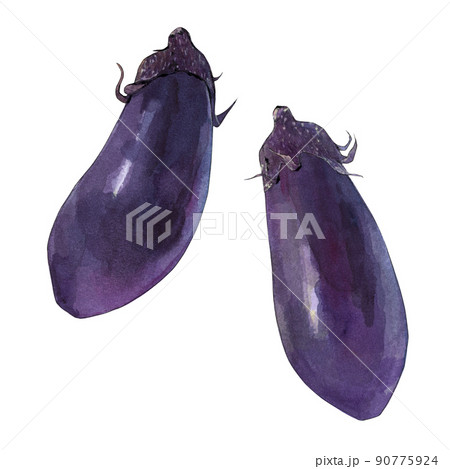 ナスの水彩イラスト 90775924