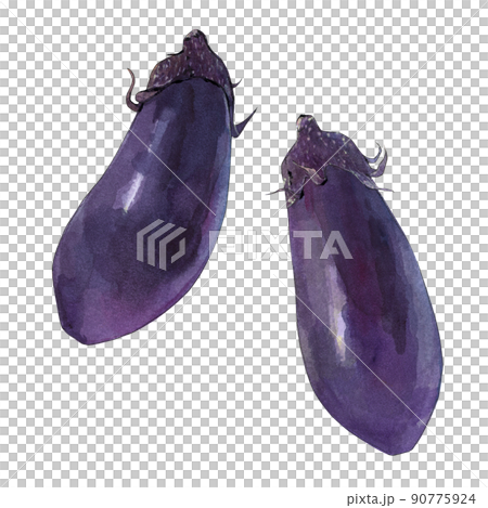 ナスの水彩イラスト 90775924