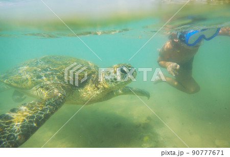 Turtle and boy 90777671