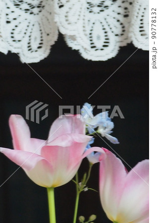かわいいお花　柔らかい色の花 90778132