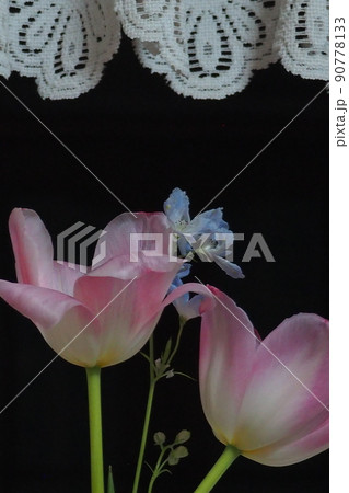 かわいいお花 柔らかい色の花 かわいいお花 柔らかい色の花 90778133