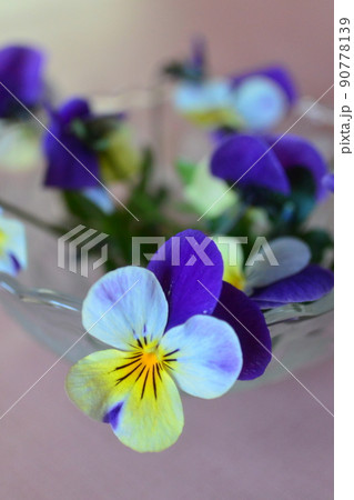 かわいいお花　柔らかい色の花 90778139