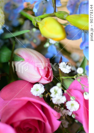 かわいいお花 柔らかい色の花 かわいいお花 柔らかい色の花 90778144