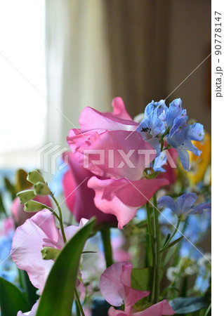 かわいいお花 柔らかい色の花 かわいいお花 柔らかい色の花 90778147