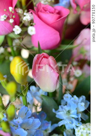 かわいいお花 柔らかい色の花 かわいいお花 柔らかい色の花 90778150