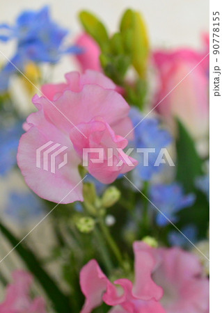 かわいいお花 柔らかい色の花 かわいいお花 柔らかい色の花 90778155