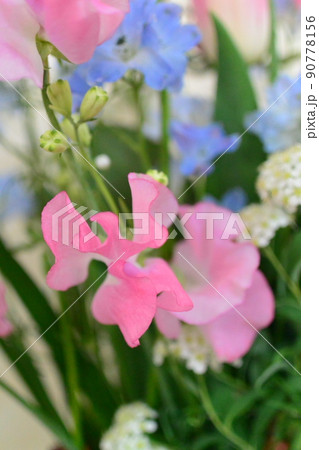 かわいいお花　柔らかい色の花 90778156