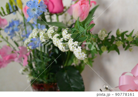 かわいいお花 柔らかい色の花 かわいいお花 柔らかい色の花 90778161