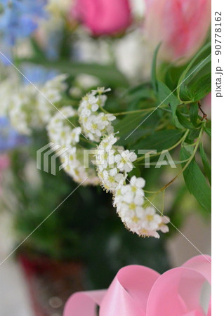 かわいいお花 柔らかい色の花 かわいいお花 柔らかい色の花 90778162