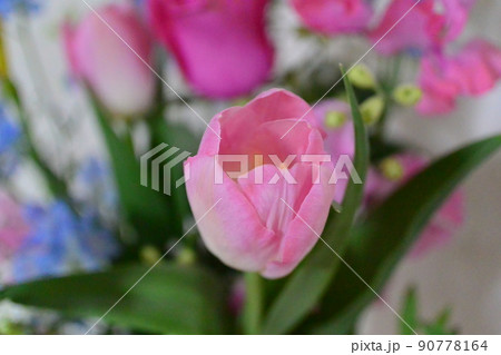 かわいいお花 柔らかい色の花 かわいいお花 柔らかい色の花 90778164