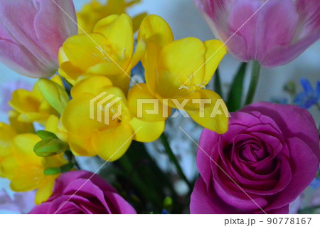 かわいいお花 柔らかい色の花 かわいいお花 柔らかい色の花 90778167