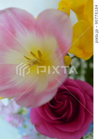 かわいいお花 柔らかい色の花 かわいいお花 柔らかい色の花 90778184
