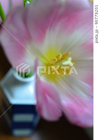 かわいいお花　柔らかい色の花 90778201