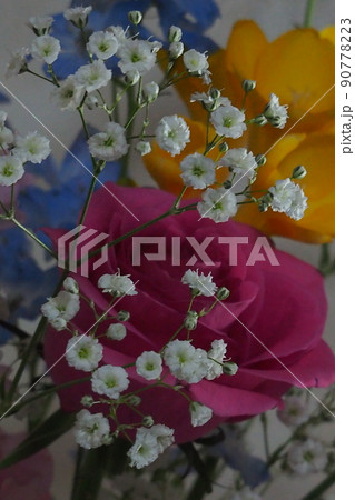 かわいいお花 柔らかい色の花 かわいいお花 柔らかい色の花 90778223