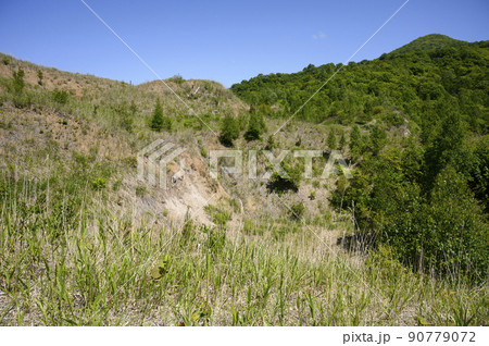 洞爺 西山山麓火口（町道上火口） 90779072