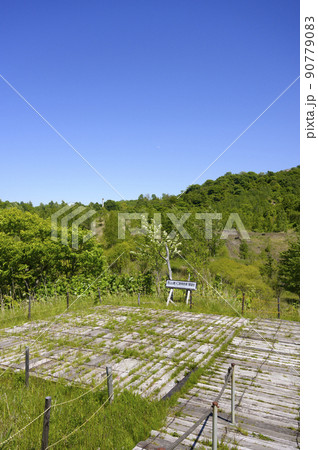 洞爺 西山山麓火口（第1展望台） 90779083