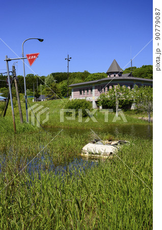 洞爺 西山山麓火口(西新山沼に沈んだ白い車) 洞爺 西山山麓火口(西新山沼に沈んだ白い車) 90779087